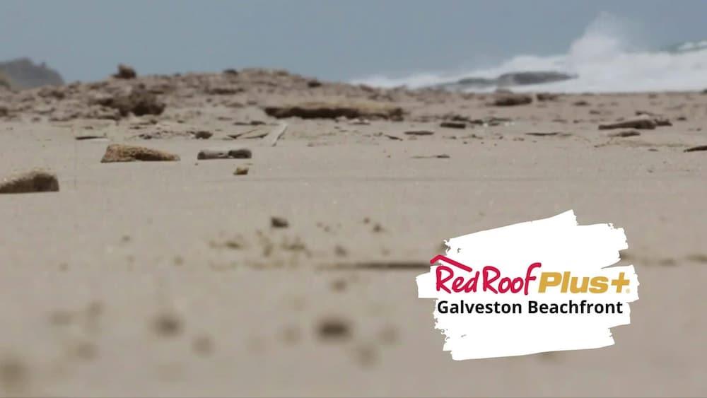 Red Roof Inn Plus + Galveston - Beachfront Ngoại thất bức ảnh
